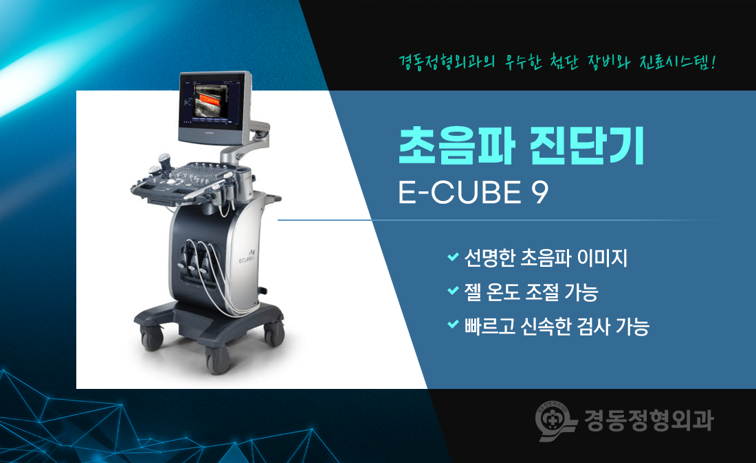 초음파 진단기 E-CUBE 9